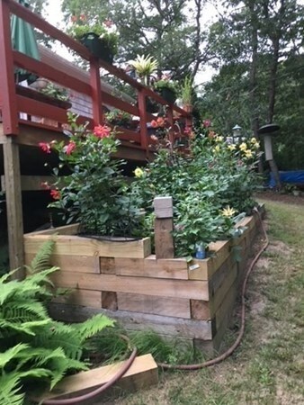 14 Butternut Cir, Cotuit, MA 02635 - photo 4