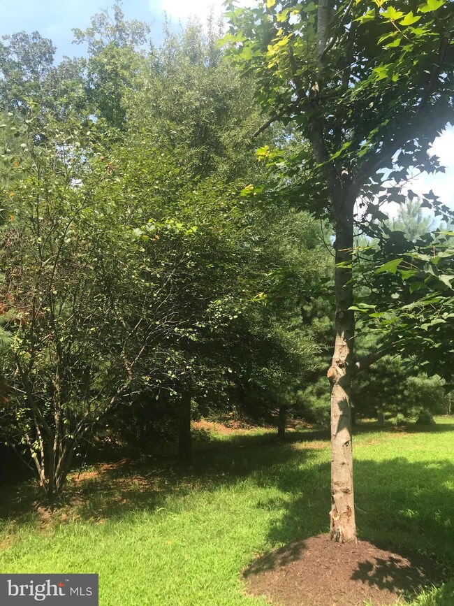 6808 Orrington Ln, Haymarket, VA 20169 - photo 5