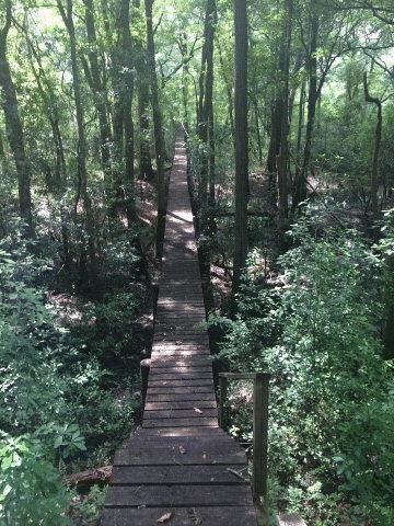 701 Fort McIntosh Loop, Hortense, GA 31543 - photo 2