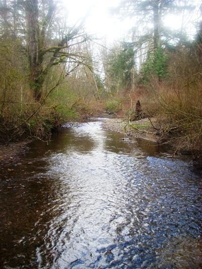 391 307th Ave SE, Enumclaw, WA 98022 - photo 5