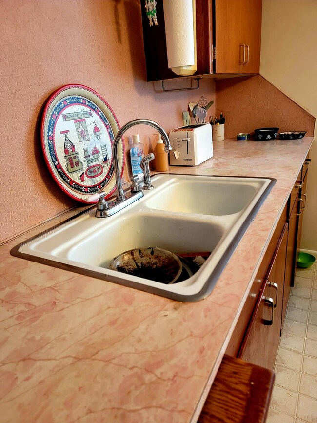Cast Iron Sink