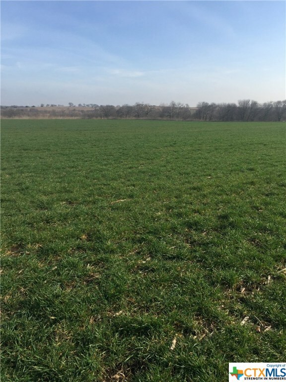 11621 Willow Grove Rd, Moody, TX 76557 - photo 6