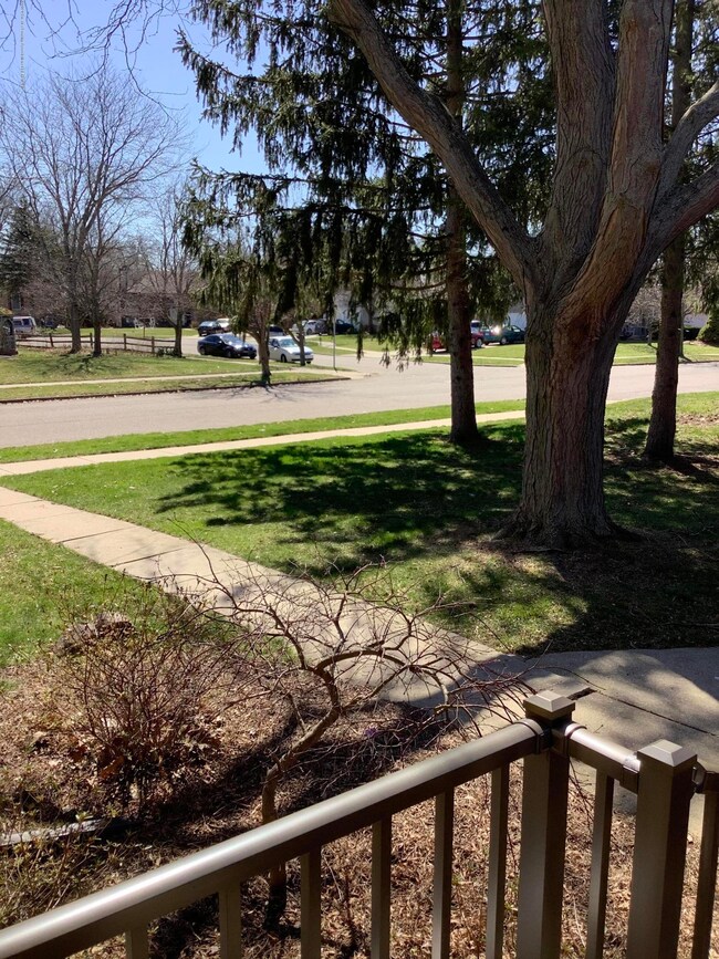IMG-0018