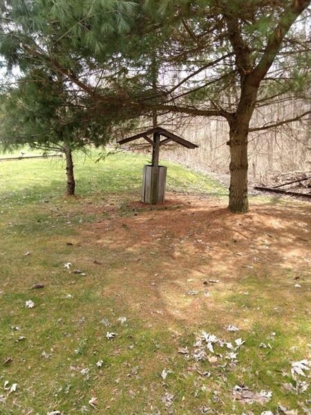 Side of front yard