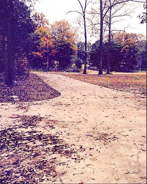 Concrete Drive