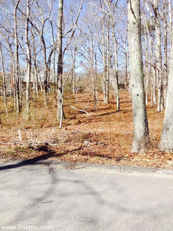 0 Ferro Way unit 32739, Tisbury, MA 02568 - photo 4