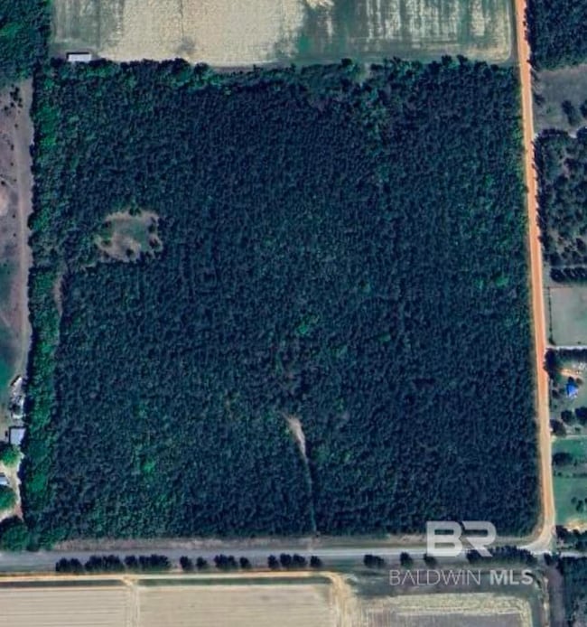 0 Comstock Rd unit 1 374277, Elsanor, AL 36530 - photo 3