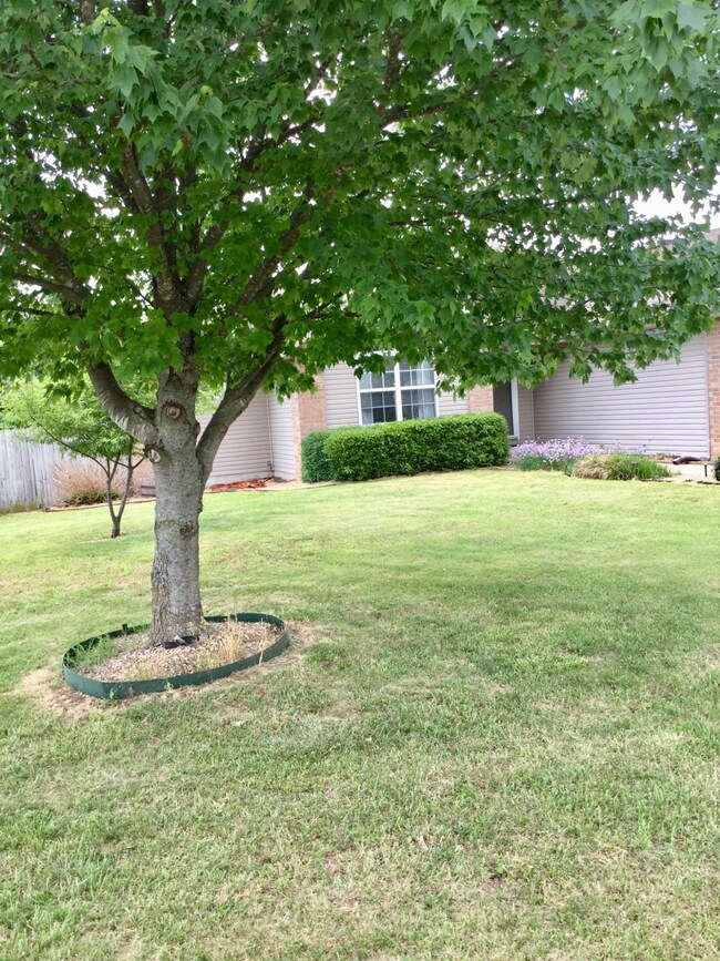 5A8904A1-5765-4317-8172-AE4FF034A478