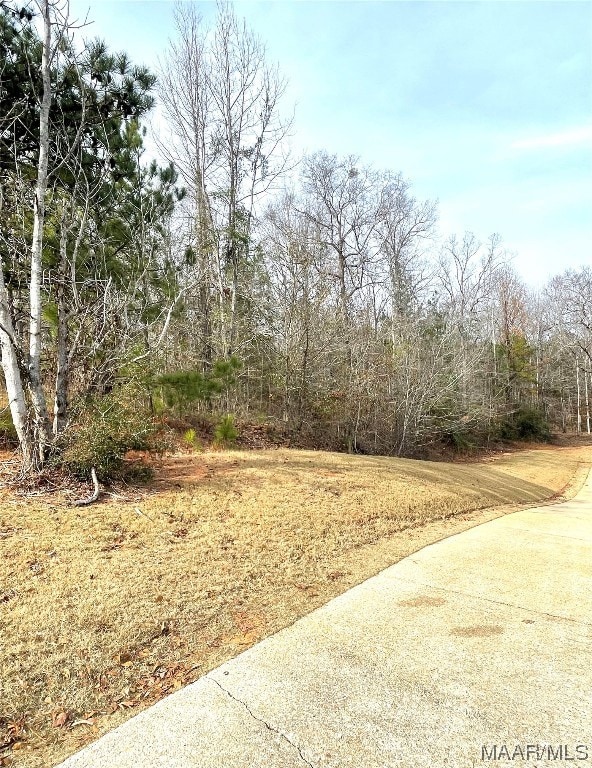 View down right side of lot
