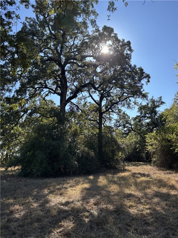 TBD Cr 163, Caldwell, TX 77836 - photo 6