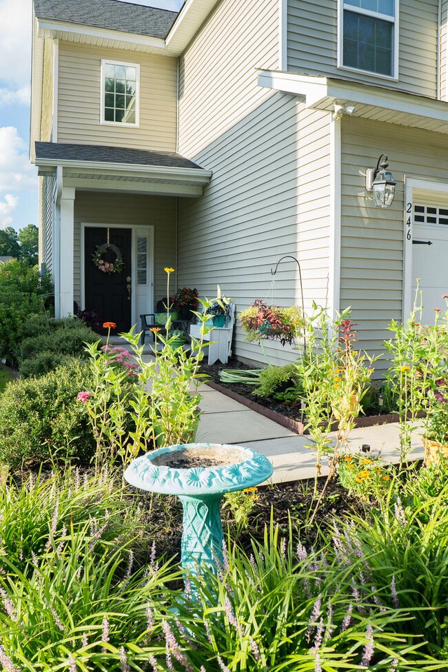 Beautiful Landscaping