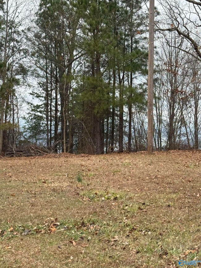 1960 County Road 223, Dutton, AL 35744 - photo 4