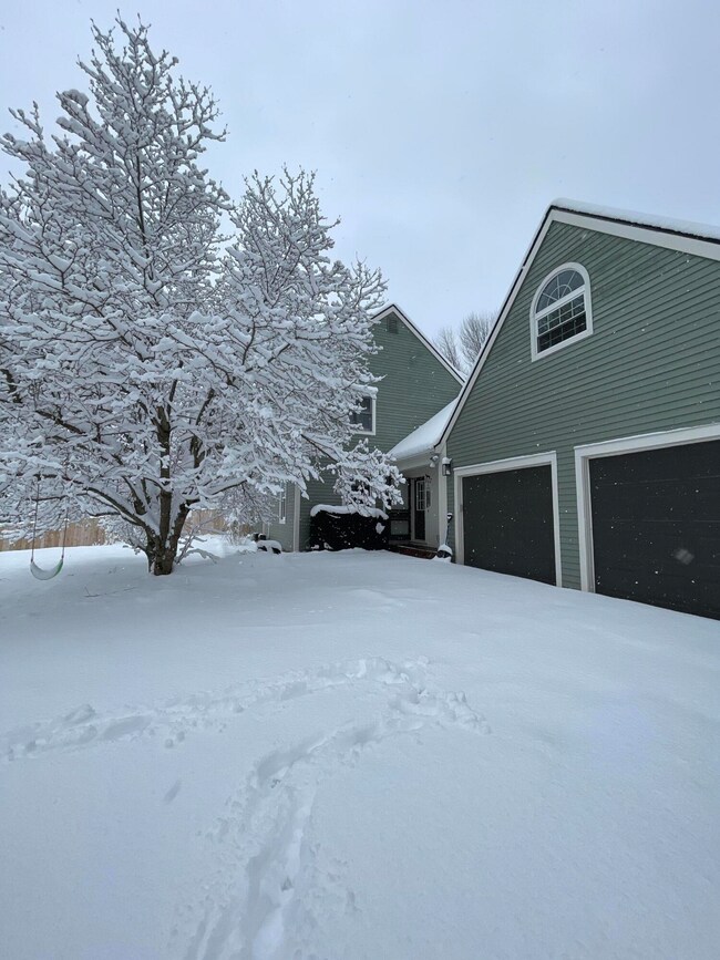 front garage snow
