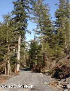 L6 Alpine Falls Cir, Cordova, AK 99574 - photo 5