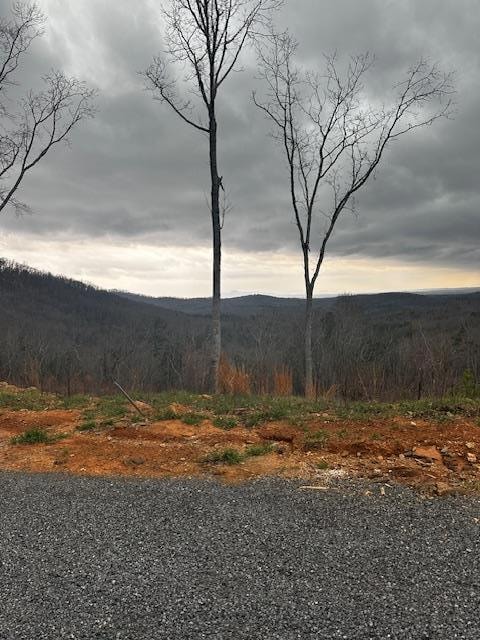 Lot 173 Shagbark Ct, Ellijay, GA 30541 - photo 3