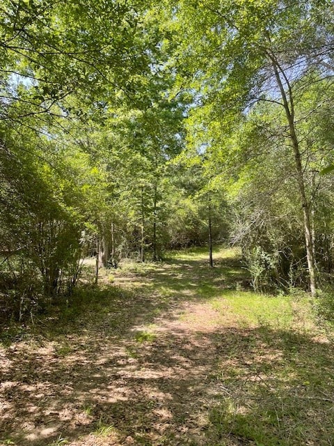 0 Tom Warner Rd, Tylertown, MS 39667 - photo 4