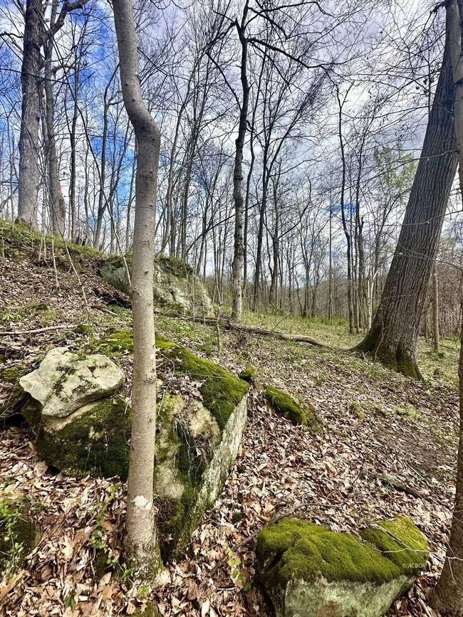 0 Little Kyger Rd, Cheshire, OH 45620 - photo 7