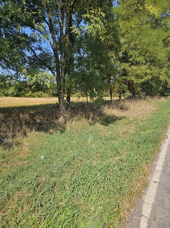 VL Thorne Rd, Horton, MI 49246 - photo 3