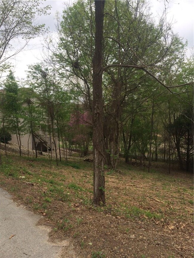 12 Country Club Cir, Bella Vista, AR 72715 - photo 2