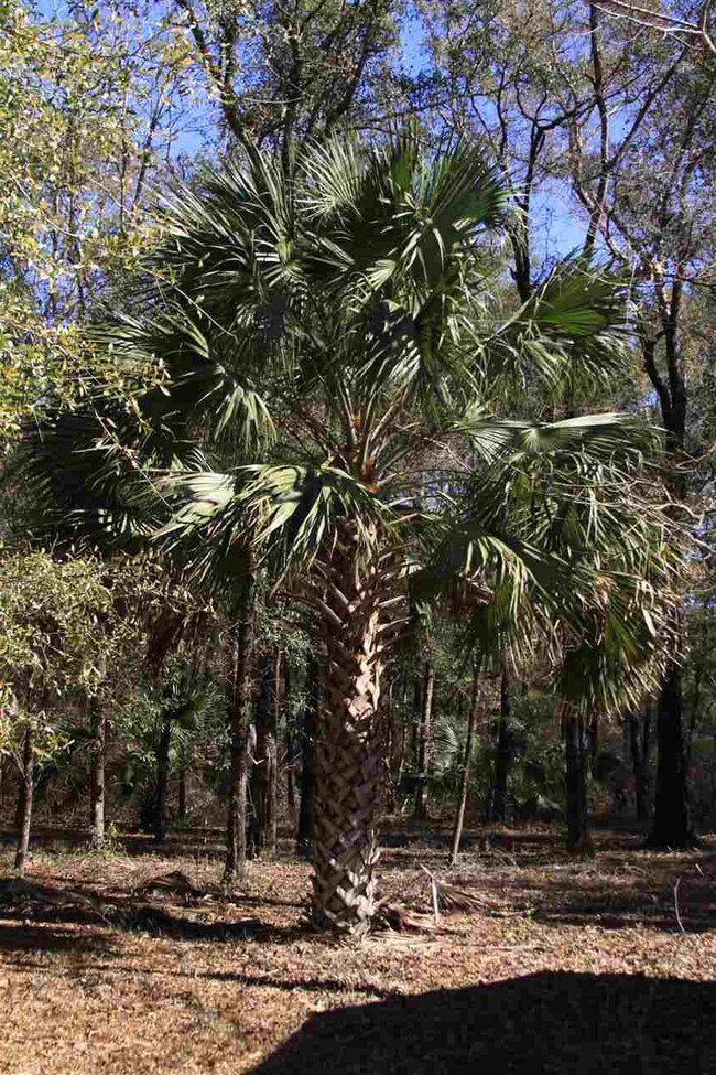 105 Purify Bay Rd, Crawfordville, FL 32327 - photo 6