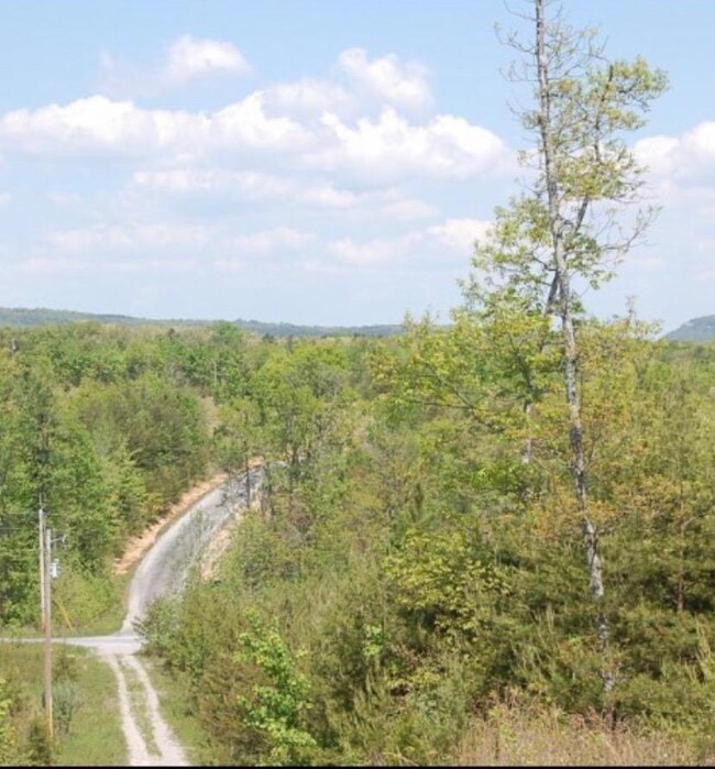 Brier Lane IMG_0654
