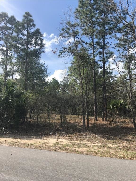 0 Locust Pass Run unit OM617705, Ocala, FL 34472 - photo 5