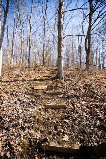 Hillside steps
