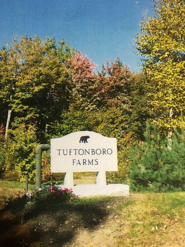 5 Black Bear Run unit 5, Center Tuftonboro, NH 03816 - photo 3