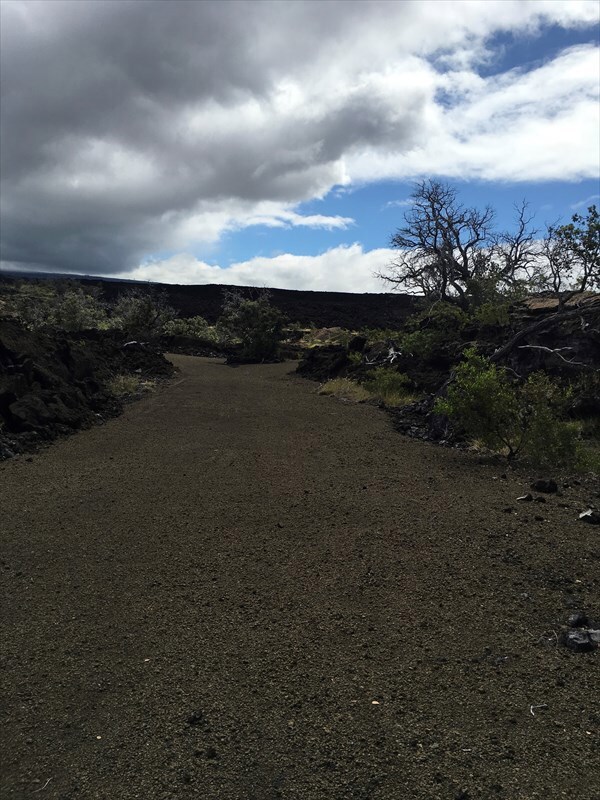 Heading into lot...long cindered drive way.