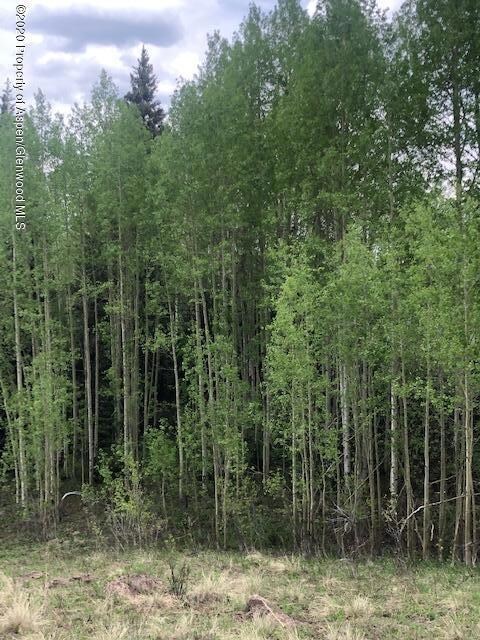 1250 (Lot 37) Red Mountain Ranch Rd, Crested Butte, CO 81224 - photo 4