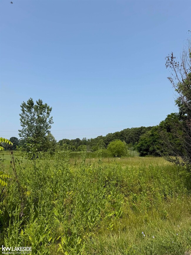 55451 Zuhlke Rd, Chesterfield, MI 48051 - photo 2