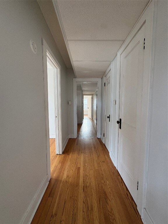 364 Floral Ave unit 2L, Johnson City, NY 13790 - photo 6