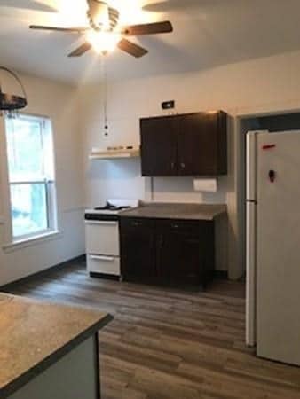 12 Albion St unit 1, Medford, MA 02155 - photo 5