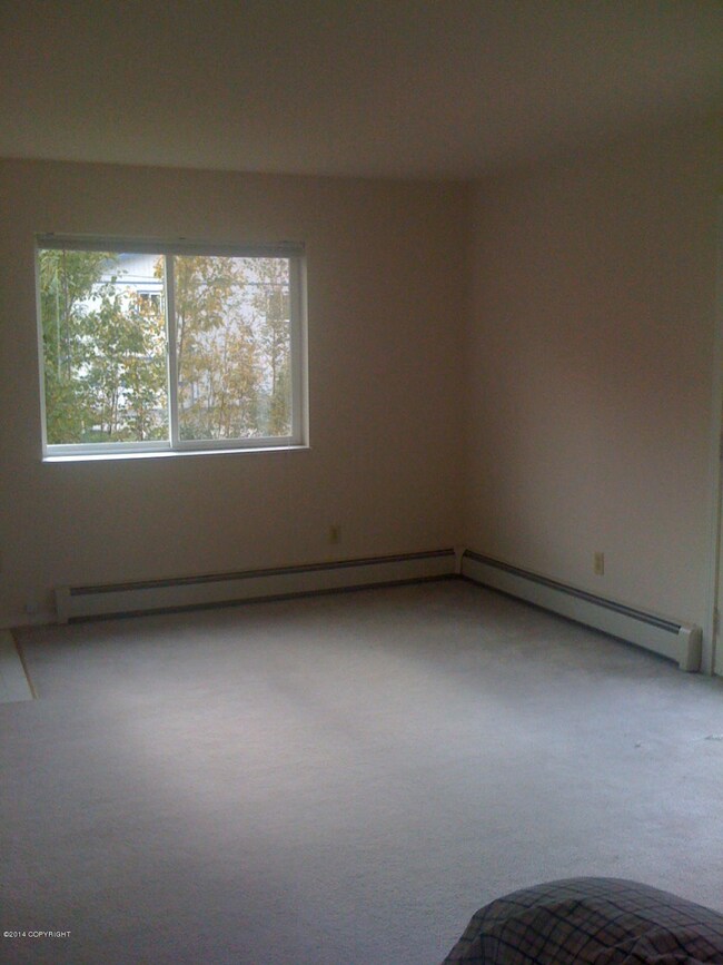 Plenty of Space!