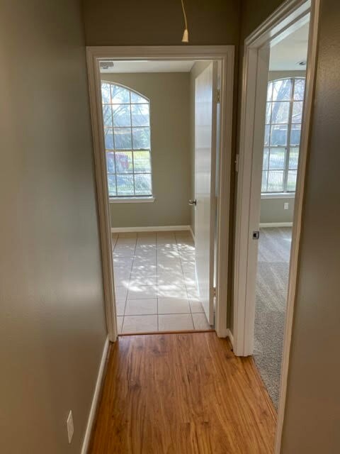 10911 Ambergate Dr, Humble, TX 77396 - photo 7