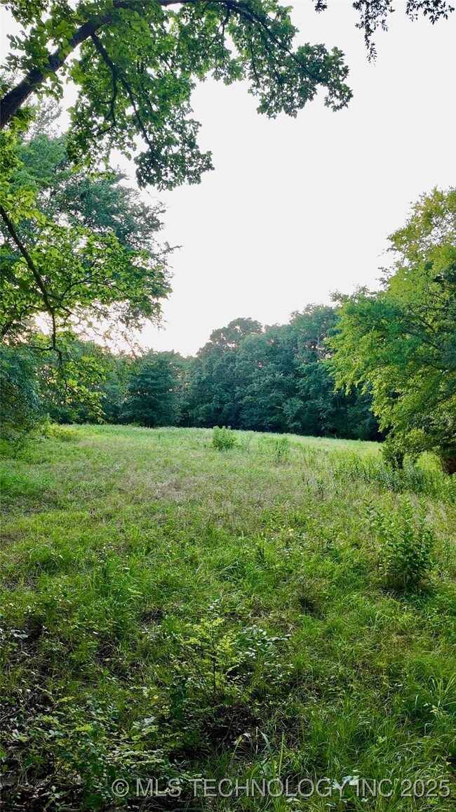 0 E Harbert Rd, Tishomingo, OK 73460 - photo 6