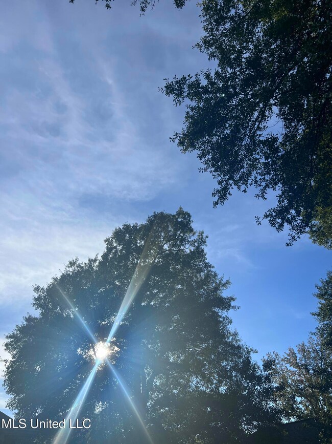 Unassigned Hines Cir, Braxton, MS 39044 - photo 6