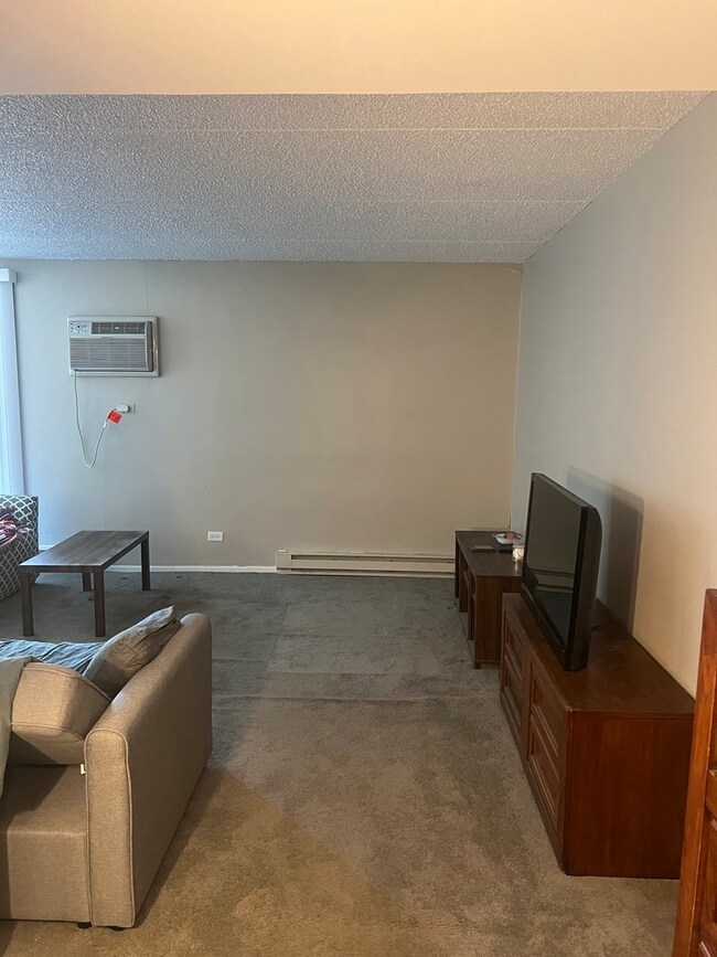 255 S West Ave unit 413, Elmhurst, IL 60126 - photo 6