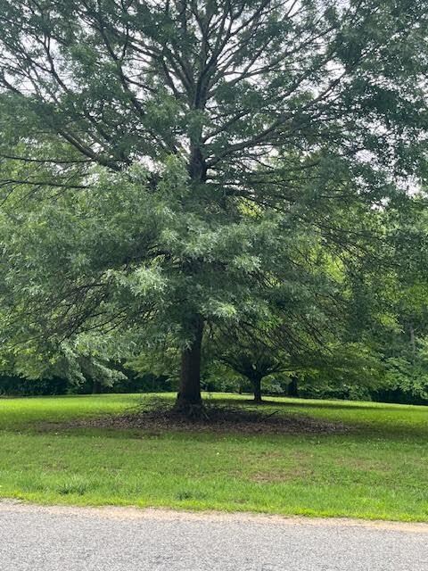 00 White Ridge Rd, Sutherlin, VA 24594 - photo 5