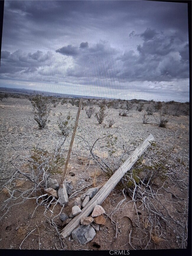 0 Delmonico Rd unit IG25230745, Oro Grande, CA 92368 - photo 3