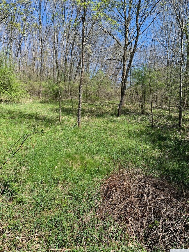 0 Goetz Rd, Canaan, NY 12060 - photo 7
