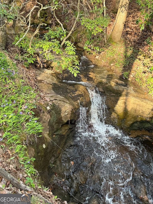 1632 Sperin Rd, Ball Ground, GA 30107 - photo 4