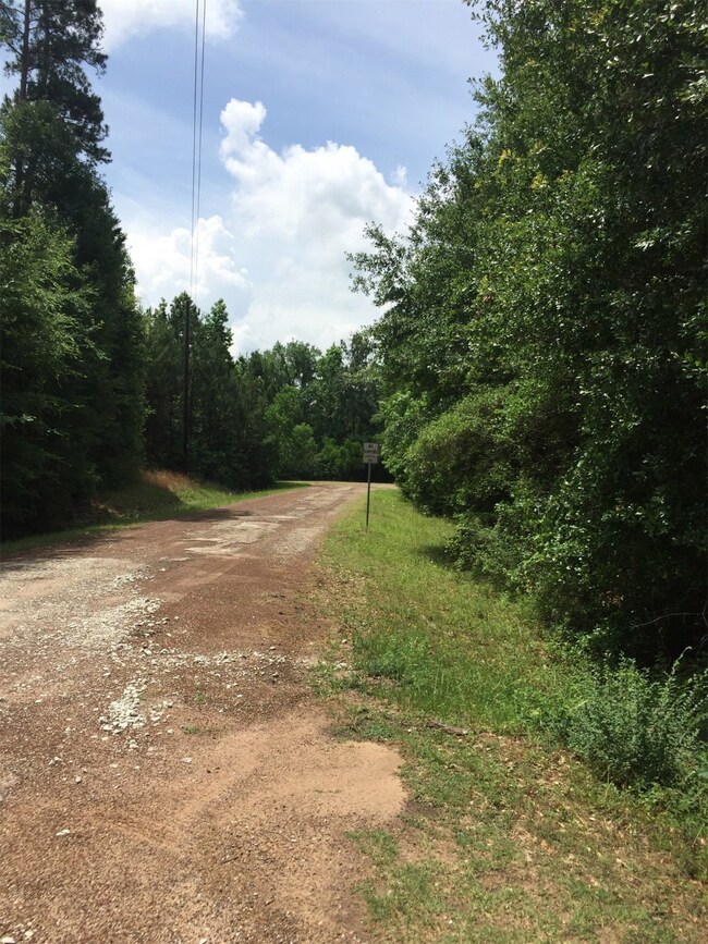 0 King Richards Ct unit 42822552, Hockley, TX 77447 - photo 6