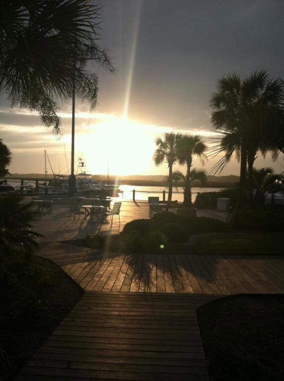 Marina sunset