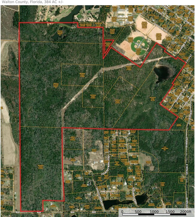 384 Acres Bob Sikes Rd, Defuniak Springs, FL - photo 2