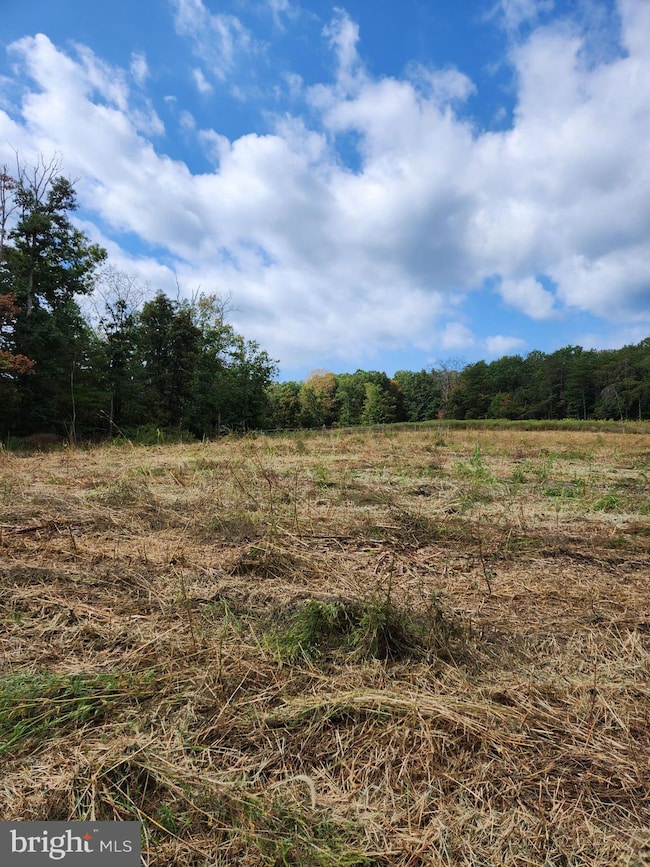 1950 Mesner Rd, Berkeley Springs, WV 25411 - photo 5