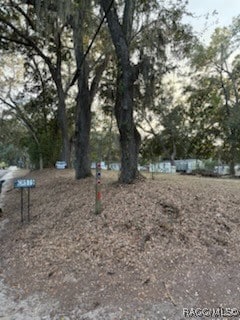 11640 County Road 579, Thonotosassa, FL 33592 - photo 7