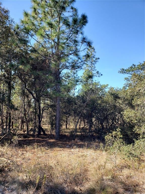 Lot 12 SW Persimmon Ln, Dunnellon, FL 34431 - photo 3
