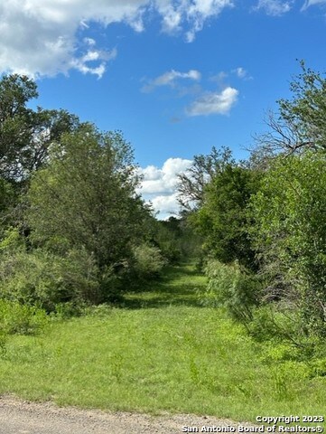 600 County Road 241, Hondo, TX 78861 - photo 5