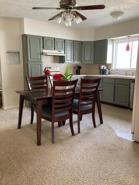 1031 Aberdeen St NE, Grand Rapids, MI 49505 - photo 4